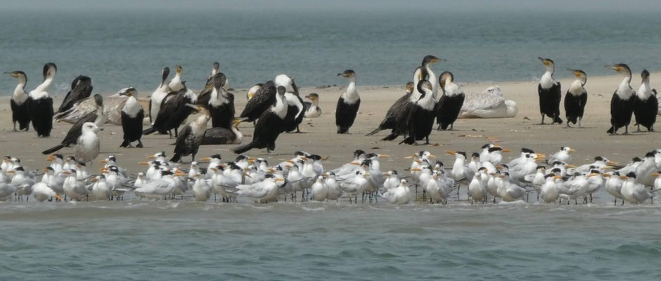 J'organise avec Téranga Découvertes des séjours découvertes et pêche au Siné Saloum