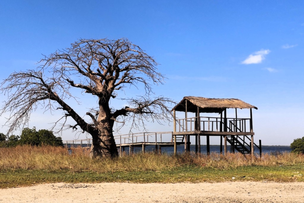 sine saloum