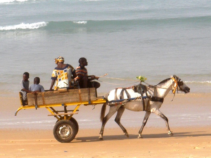 Plages et chevaux à Dakar