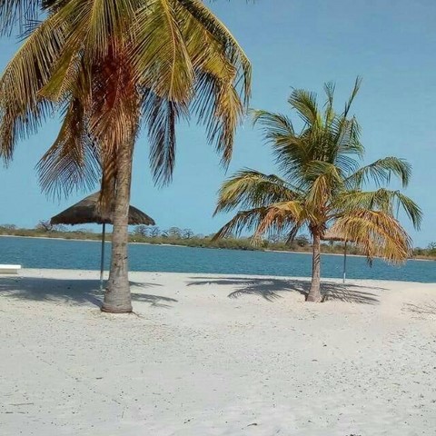 ile aux oiseaux Siné saloum avec Téranga Découvertes