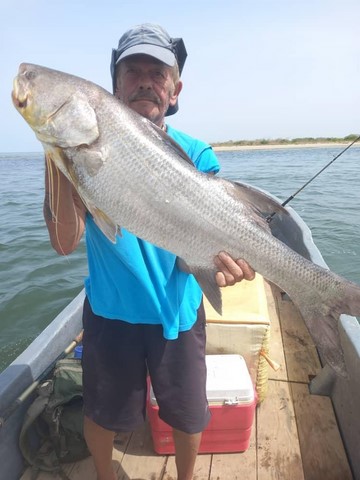 pêche aux gros siné saloum