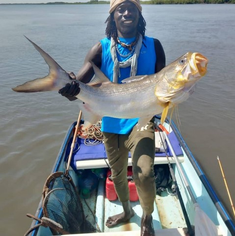 pêche sportive siné saloum