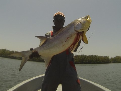 pêche siné saloum