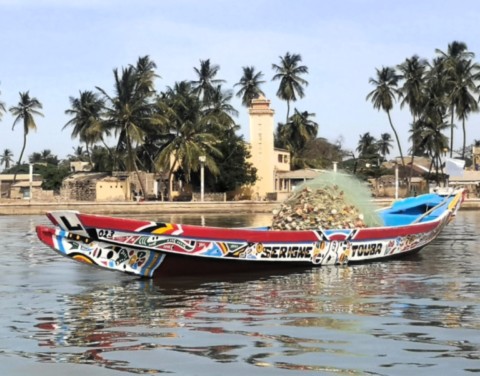 siné saloum