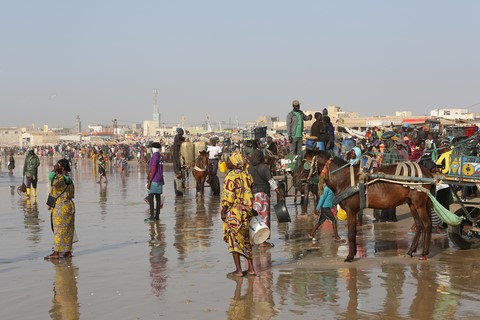 Port de pêche. Plage