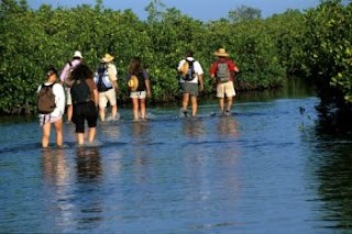 excursion siné saloum