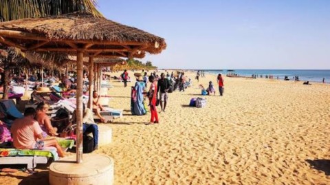 saly