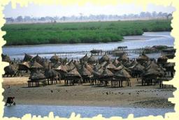 Cliquez pour agrandir l'image Cliquez pour agrandir l'image